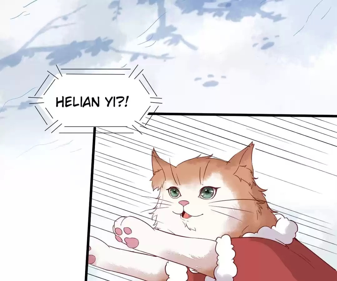 Read My Assassin Consort chapter 39 image 4 on Lezhin