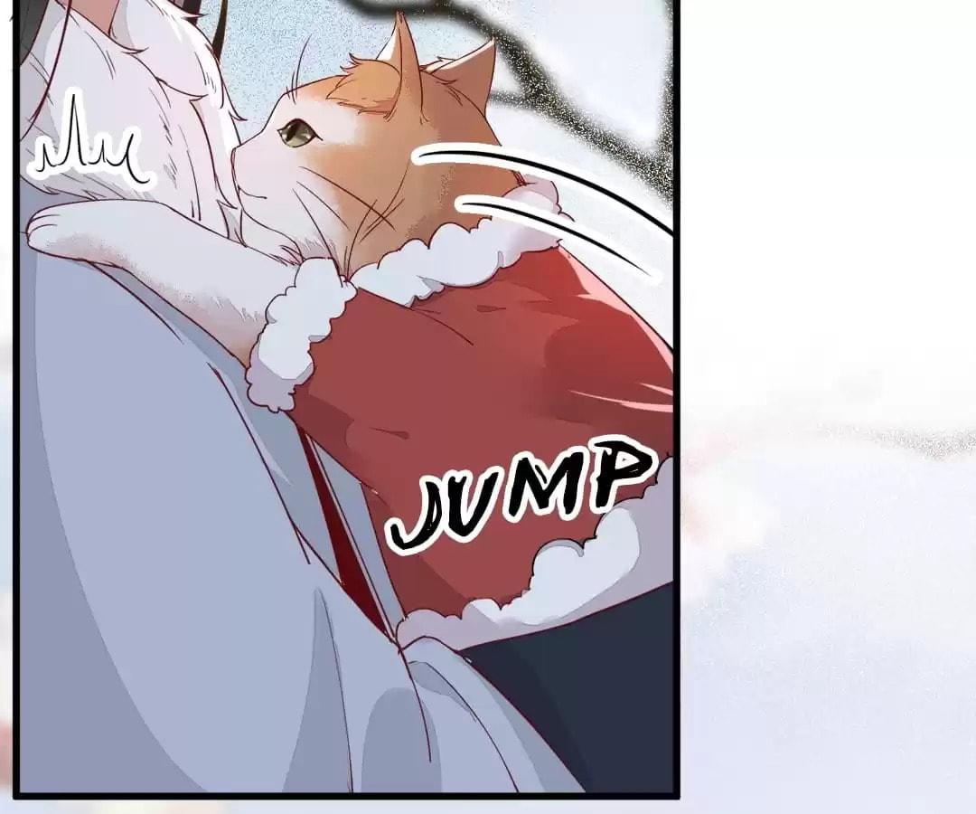 Read My Assassin Consort chapter 39 image 6 on Lezhin