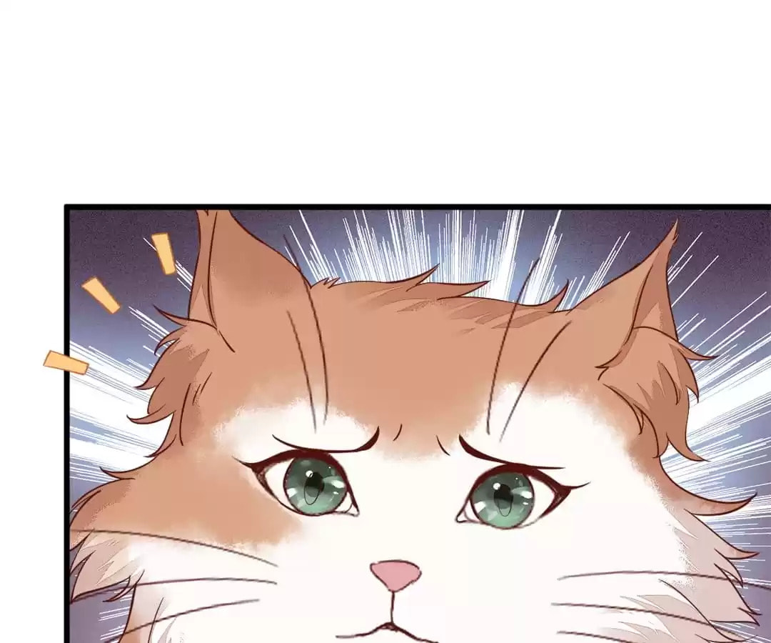 Read My Assassin Consort chapter 39 image 9 on Lezhin