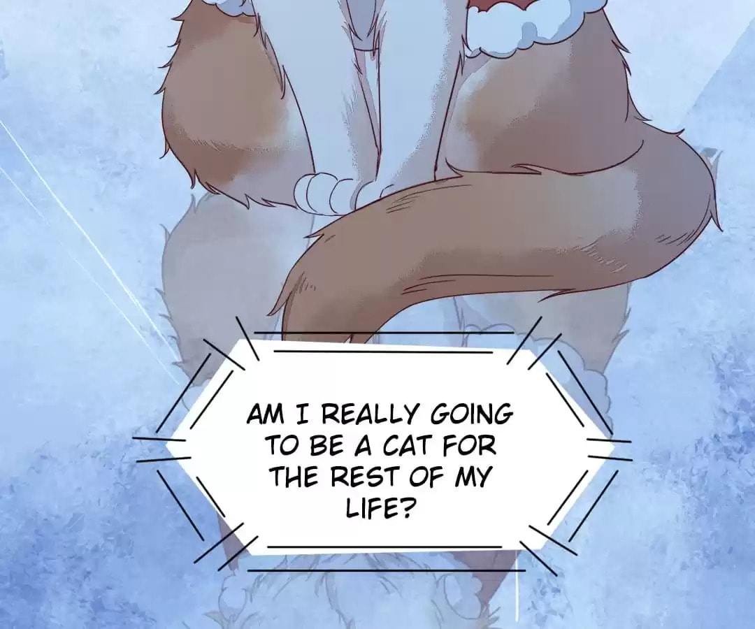 Read My Assassin Consort chapter 40 image 39 on Lezhin