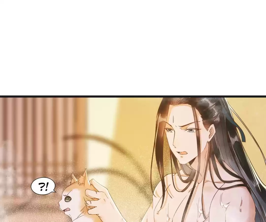 Read My Assassin Consort chapter 40 image 78 on Lezhin