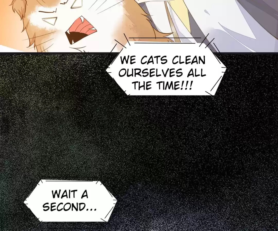 Read My Assassin Consort chapter 40 image 81 on Lezhin