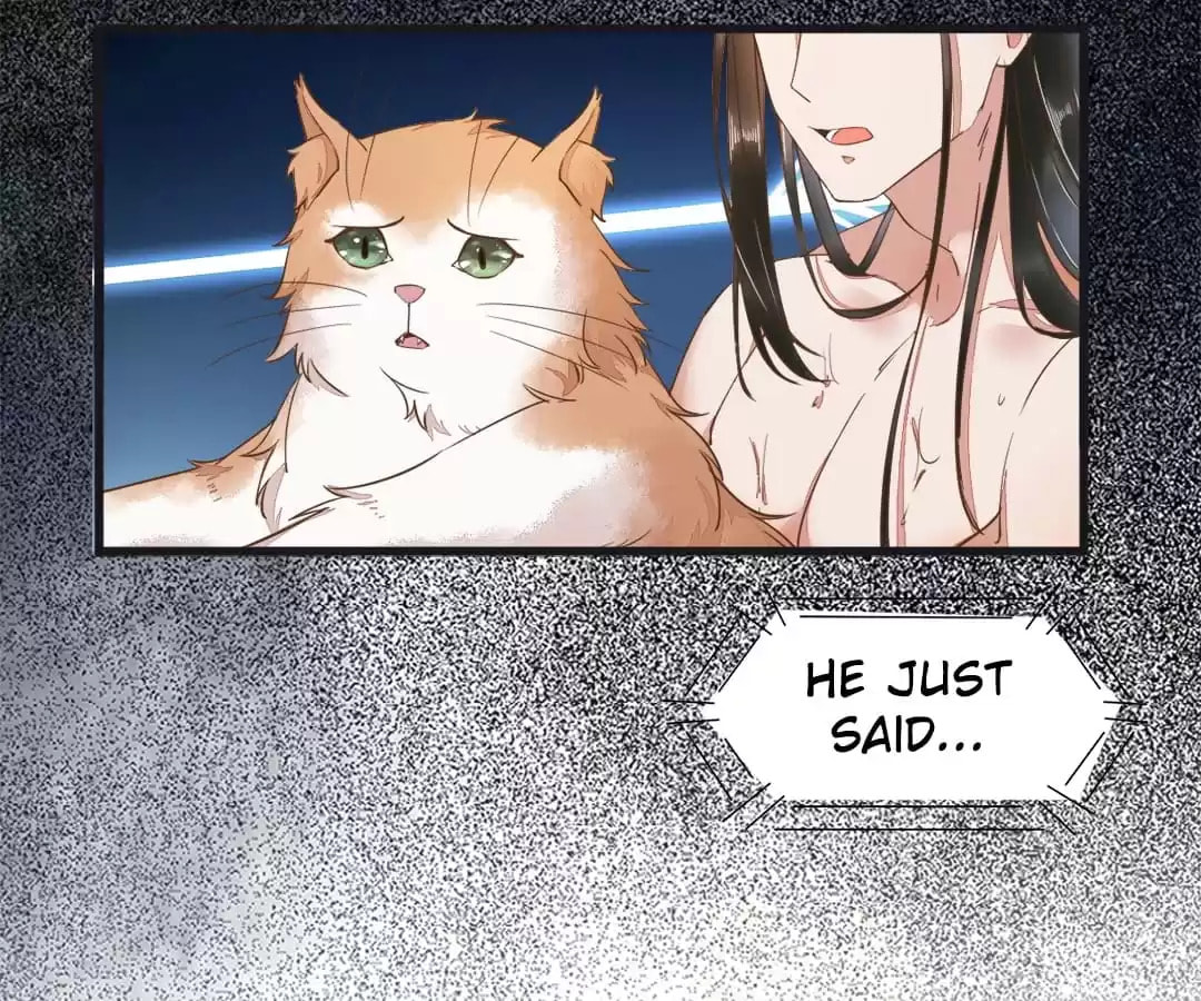 Read My Assassin Consort chapter 40 image 82 on Lezhin