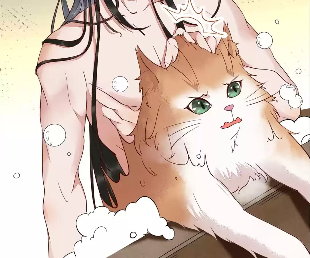 Read My Assassin Consort chapter 41 image 11 on Lezhin