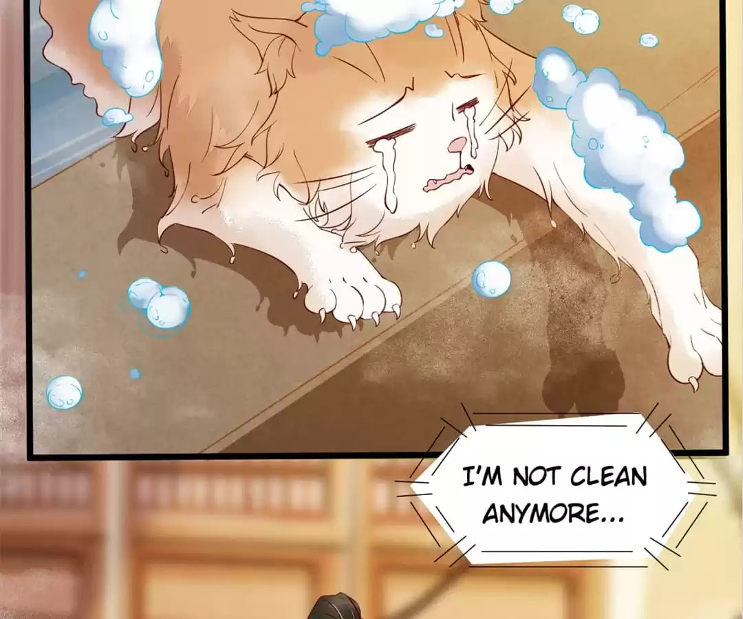 Read My Assassin Consort chapter 41 image 3 on Lezhin
