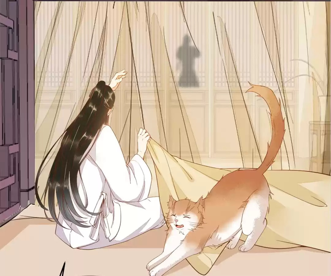 Read My Assassin Consort chapter 41 image 31 on Lezhin