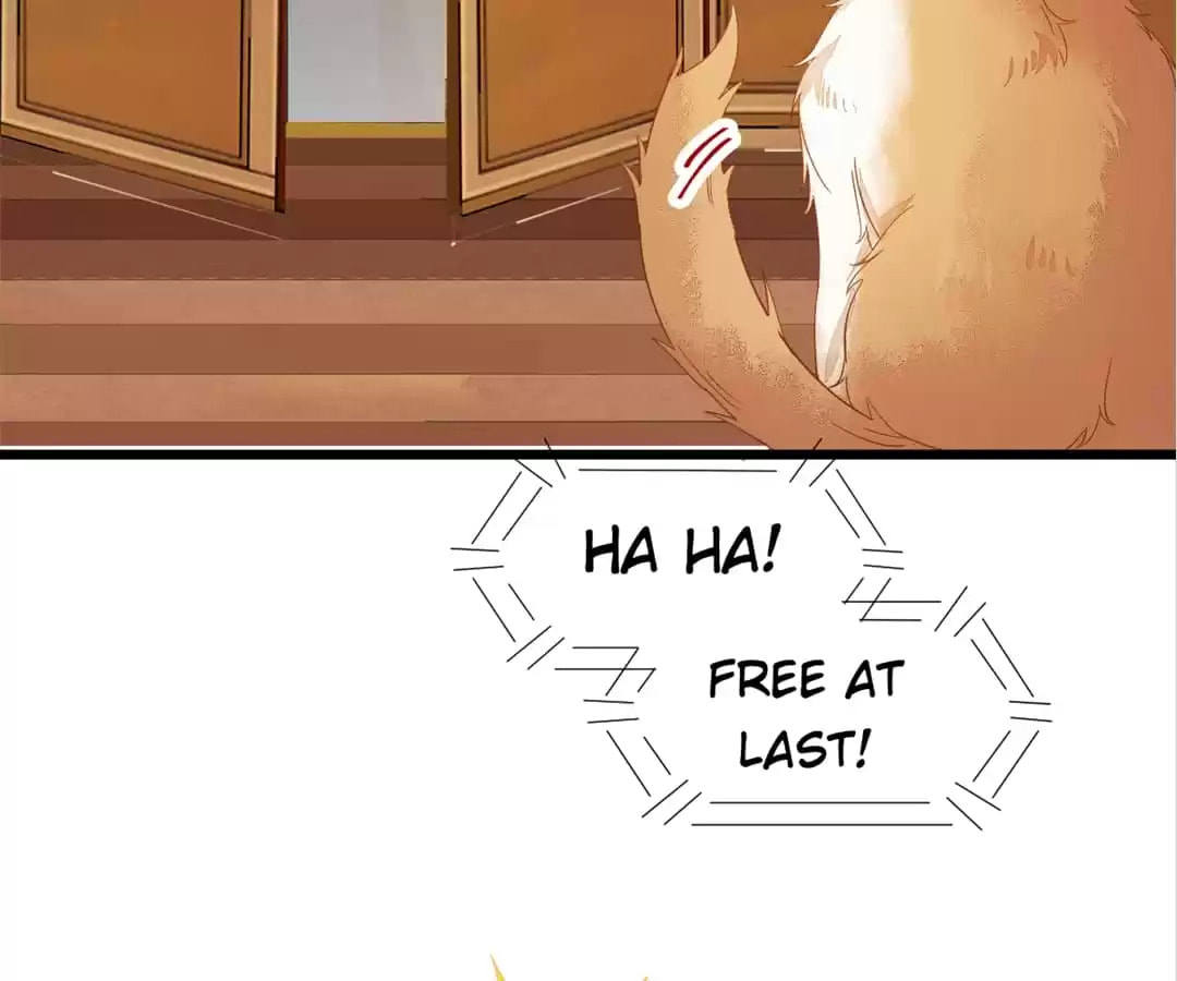 Read My Assassin Consort chapter 41 image 36 on Lezhin