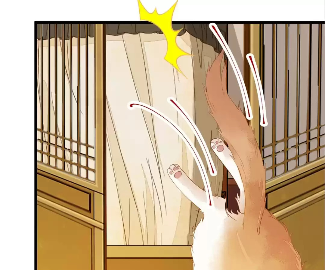 Read My Assassin Consort chapter 41 image 37 on Lezhin