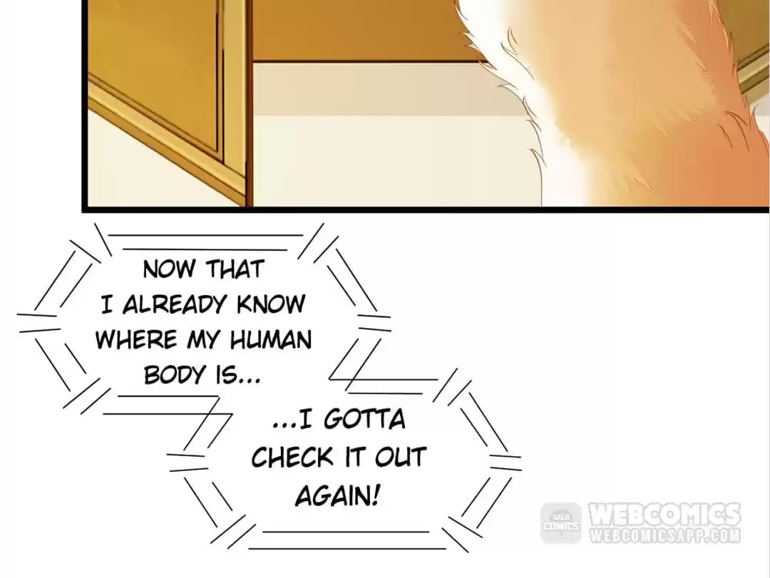 Read My Assassin Consort chapter 41 image 38 on Lezhin