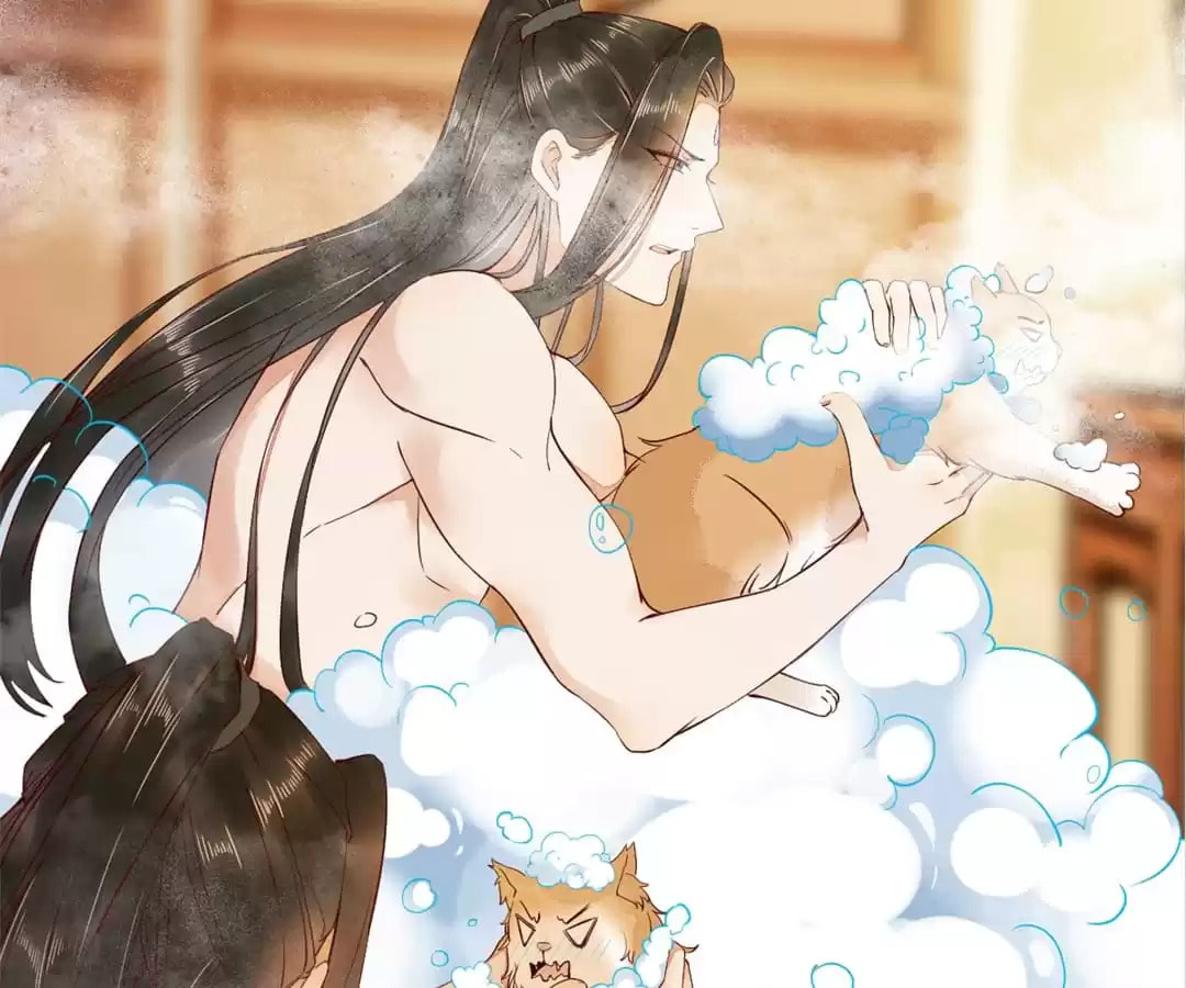 Read My Assassin Consort chapter 41 image 4 on Lezhin