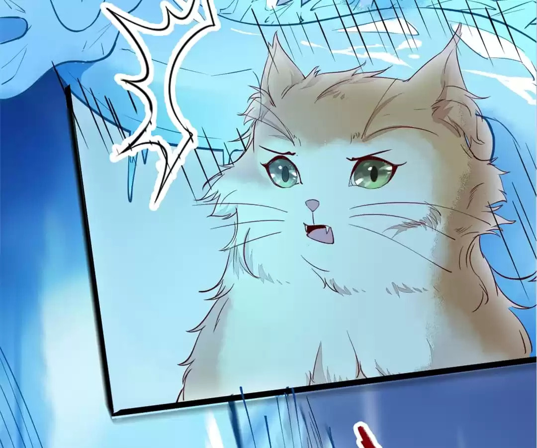 Read My Assassin Consort chapter 41 image 53 on Lezhin