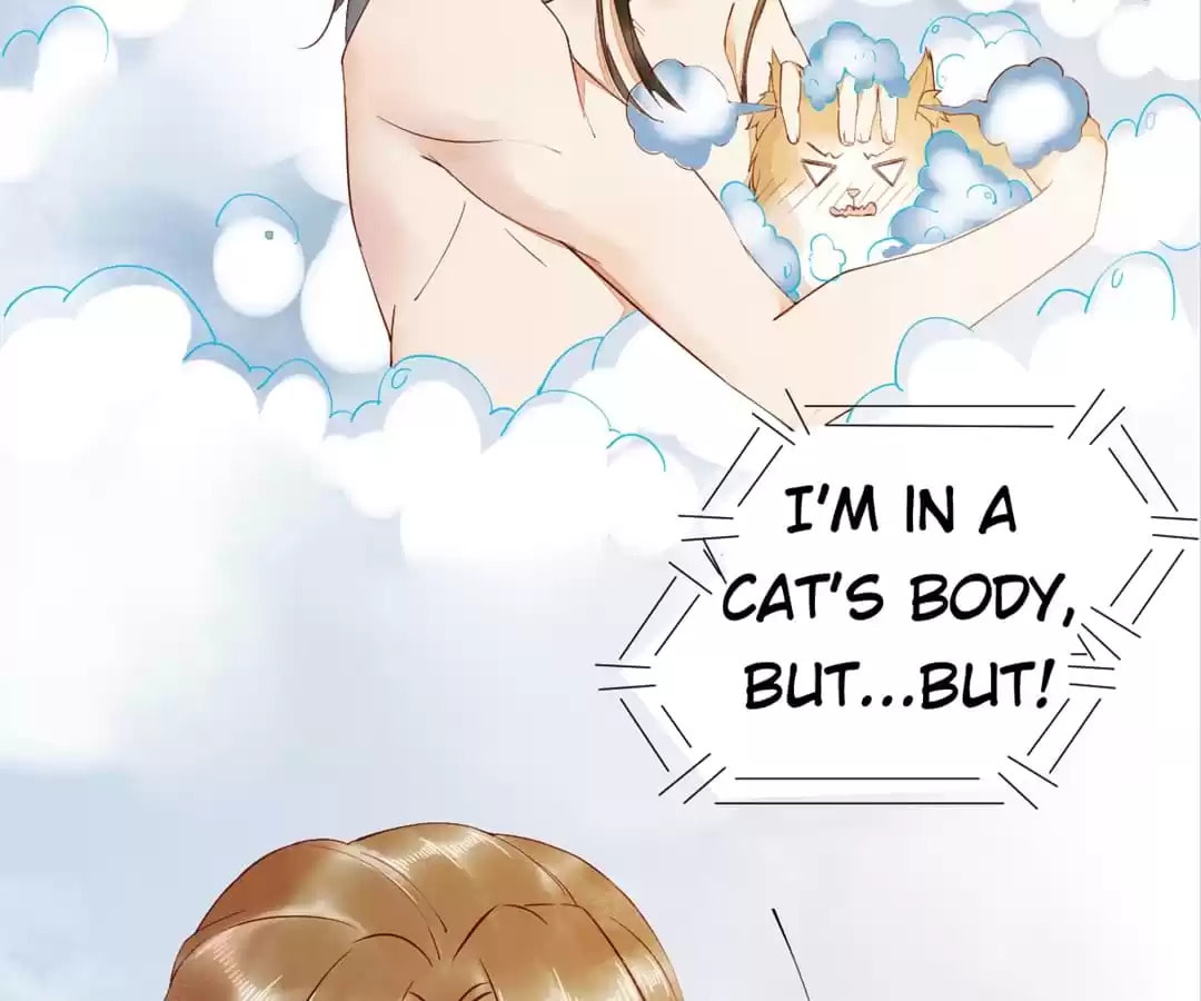 Read My Assassin Consort chapter 41 image 6 on Lezhin