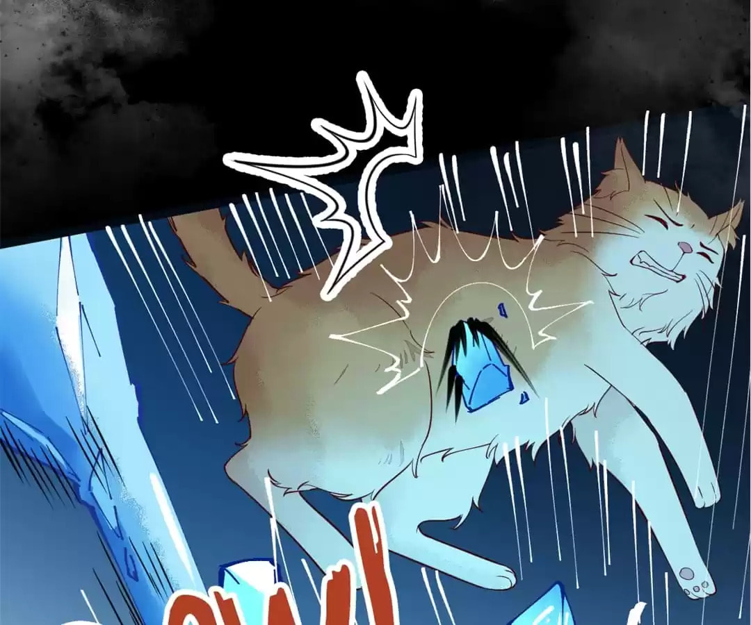 Read My Assassin Consort chapter 41 image 64 on Lezhin