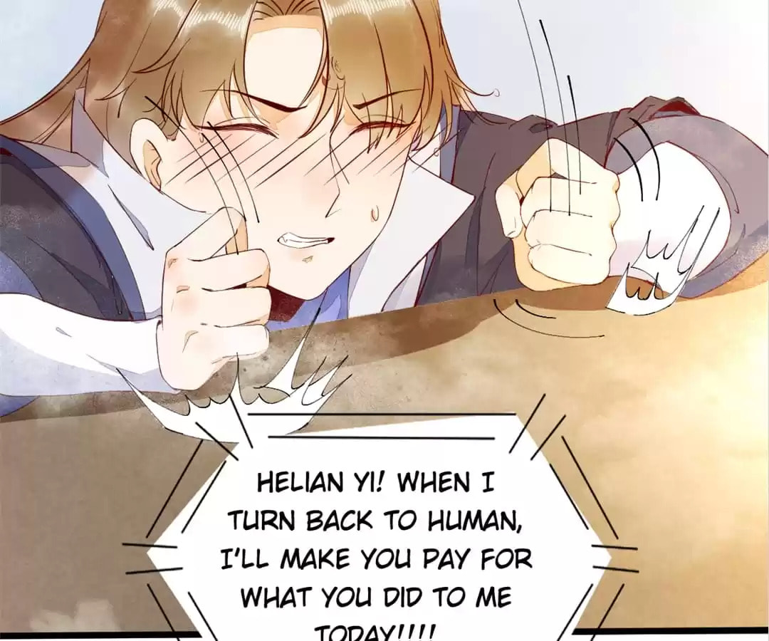 Read My Assassin Consort chapter 41 image 7 on Lezhin