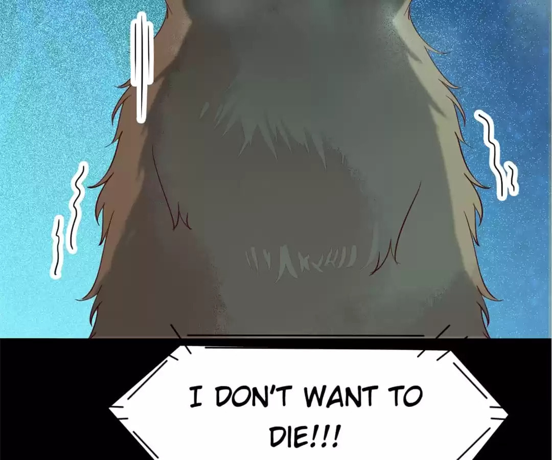 Read My Assassin Consort chapter 41 image 71 on Lezhin