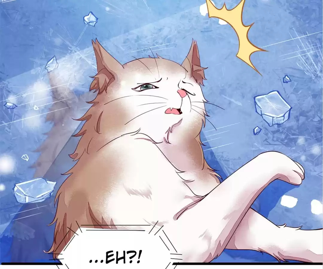 Read My Assassin Consort chapter 44 image 12 on Lezhin