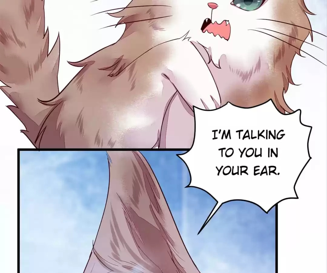Read My Assassin Consort chapter 44 image 23 on Lezhin