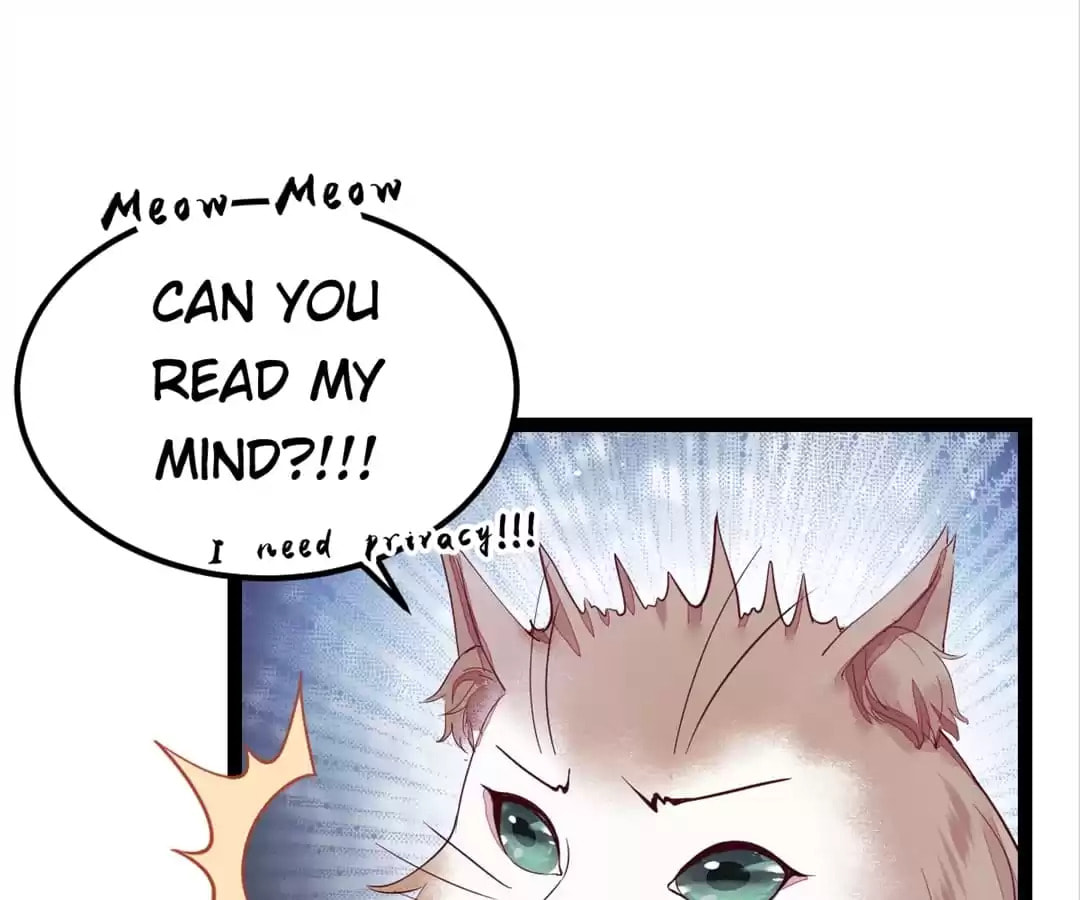 Read My Assassin Consort chapter 44 image 26 on Lezhin