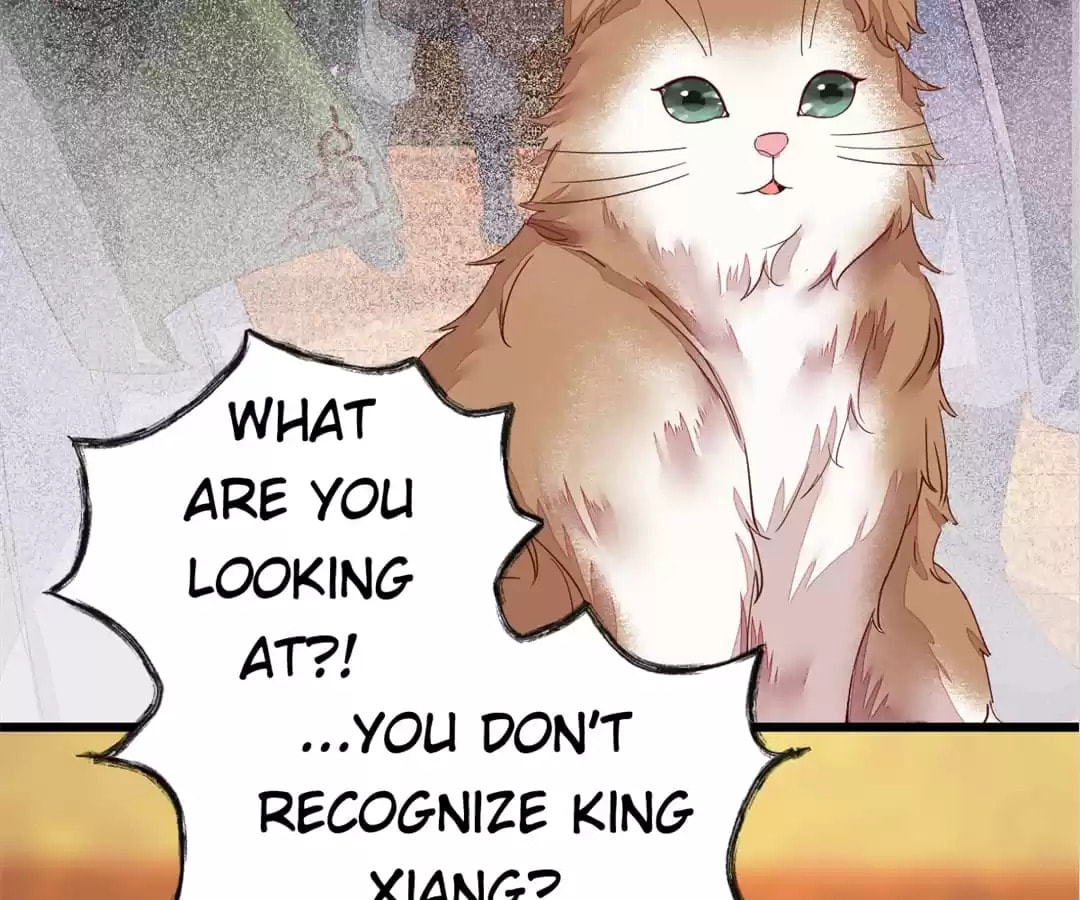 Read My Assassin Consort chapter 44 image 58 on Lezhin