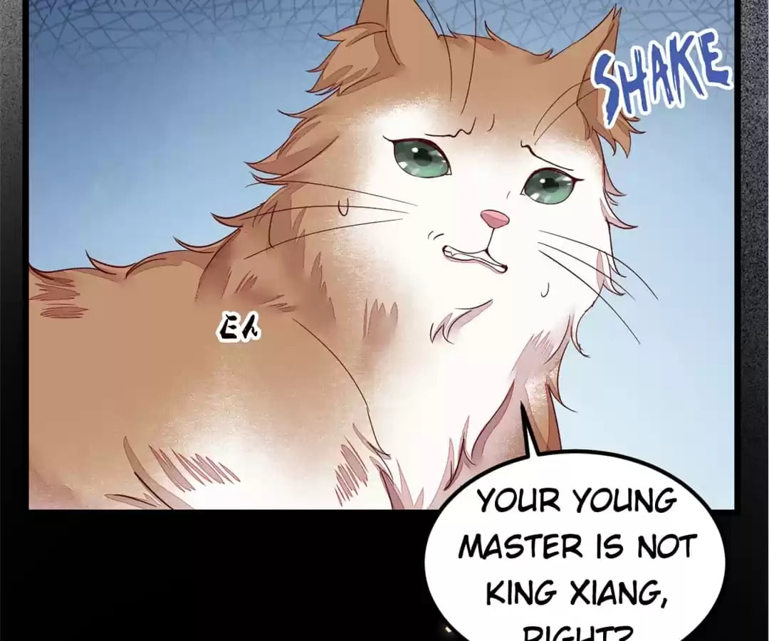 Read My Assassin Consort chapter 44 image 66 on Lezhin