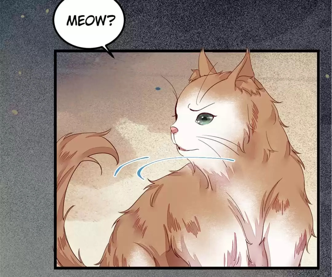 Read My Assassin Consort chapter 44 image 71 on Lezhin