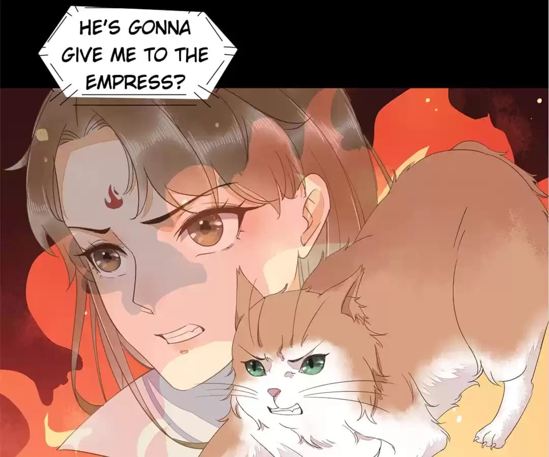Read My Assassin Consort chapter 44 image 76 on Lezhin