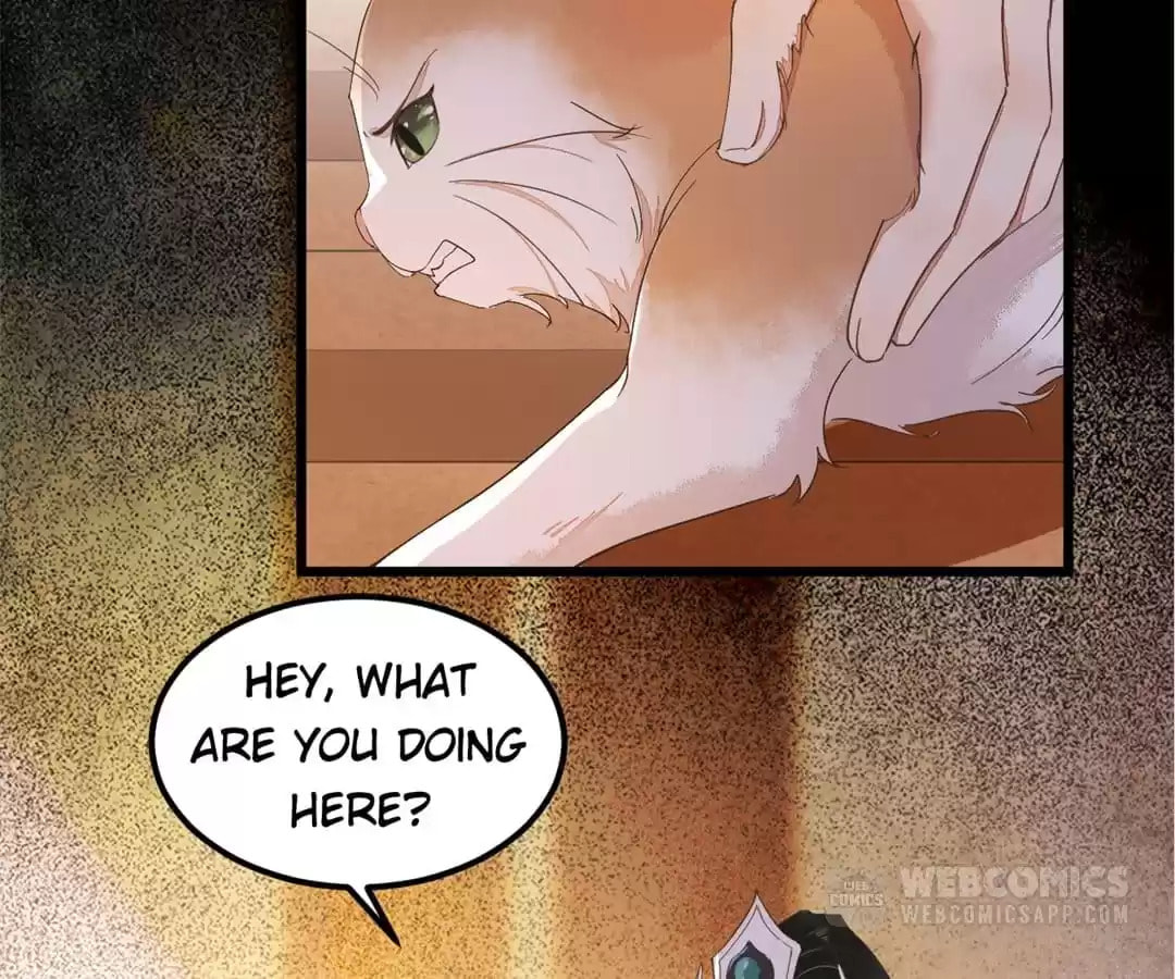 Read My Assassin Consort chapter 44 image 78 on Lezhin