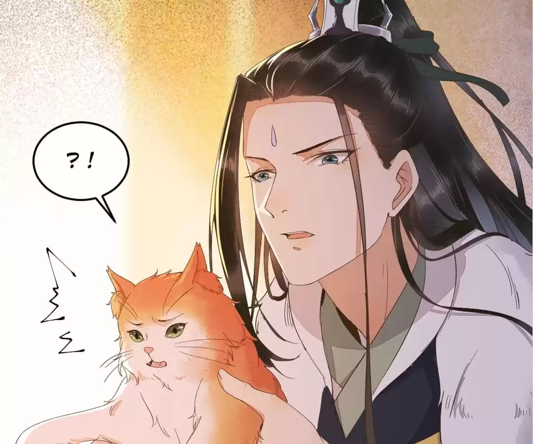 Read My Assassin Consort chapter 44 image 79 on Lezhin
