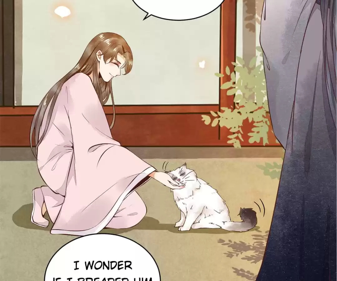 Read My Assassin Consort chapter 5 image 10 on Lezhin
