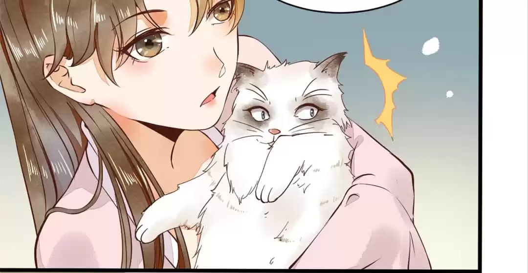 Read My Assassin Consort chapter 5 image 14 on Lezhin
