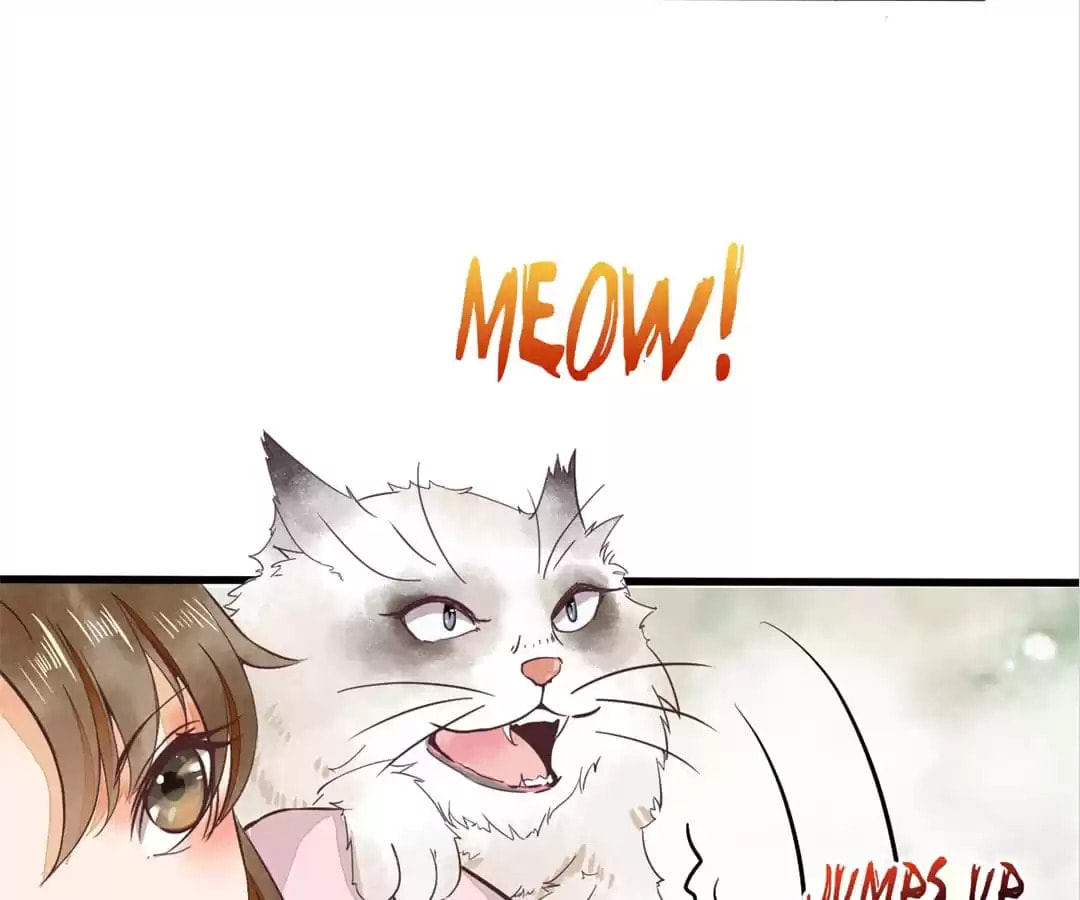 Read My Assassin Consort chapter 5 image 15 on Lezhin