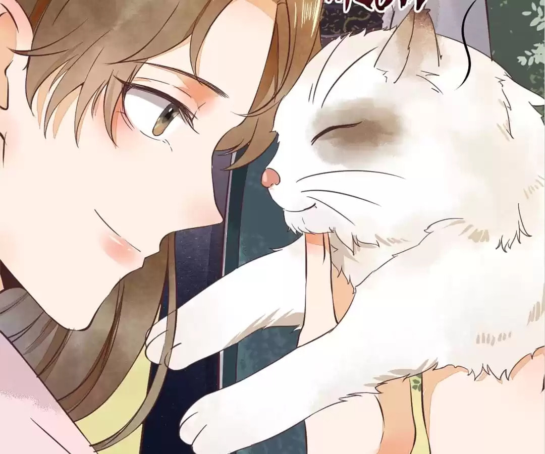 Read My Assassin Consort chapter 5 image 19 on Lezhin