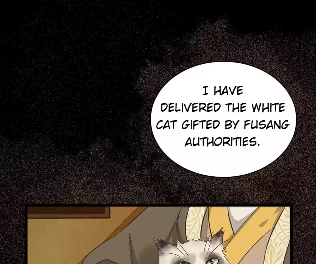 Read My Assassin Consort chapter 5 image 47 on Lezhin