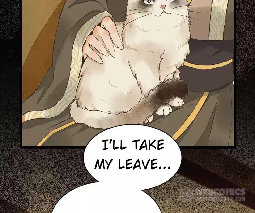 Read My Assassin Consort chapter 5 image 48 on Lezhin