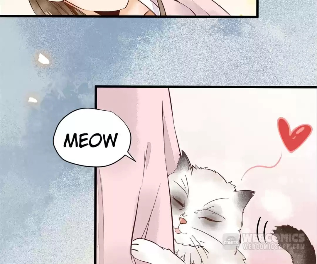 Read My Assassin Consort chapter 5 image 8 on Lezhin