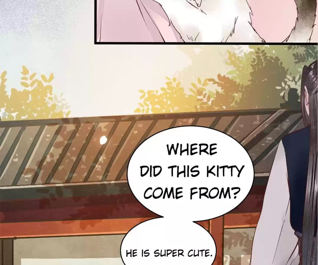 Read My Assassin Consort chapter 5 image 9 on Lezhin
