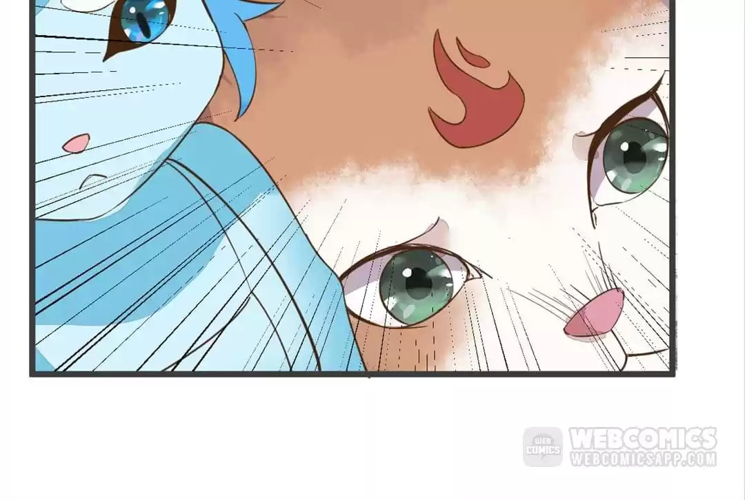Read My Assassin Consort chapter 52 image 71 on Lezhin