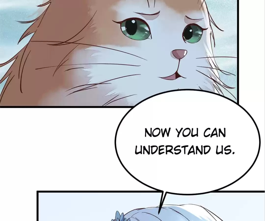 Read My Assassin Consort chapter 55 image 57 on Lezhin