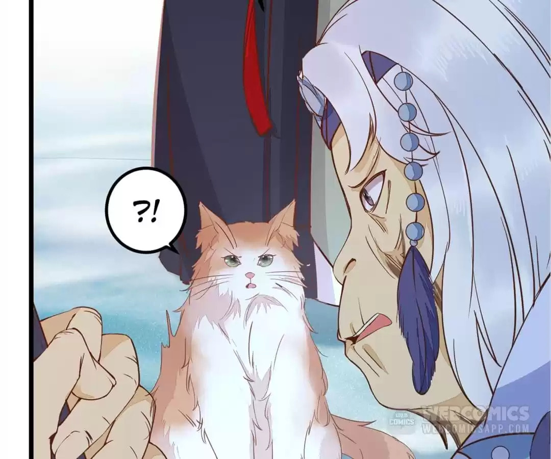 Read My Assassin Consort chapter 55 image 70 on Lezhin