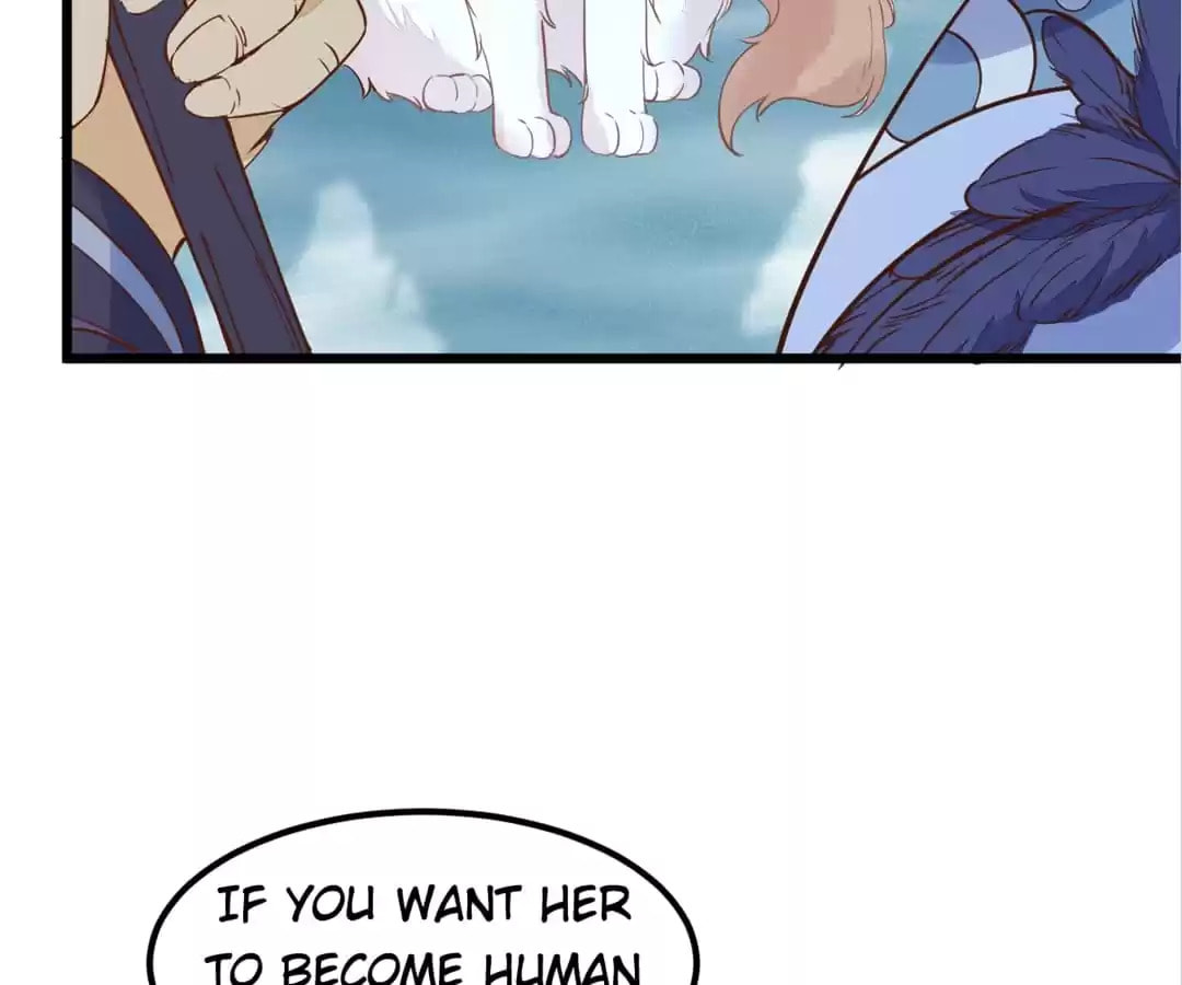 Read My Assassin Consort chapter 55 image 71 on Lezhin