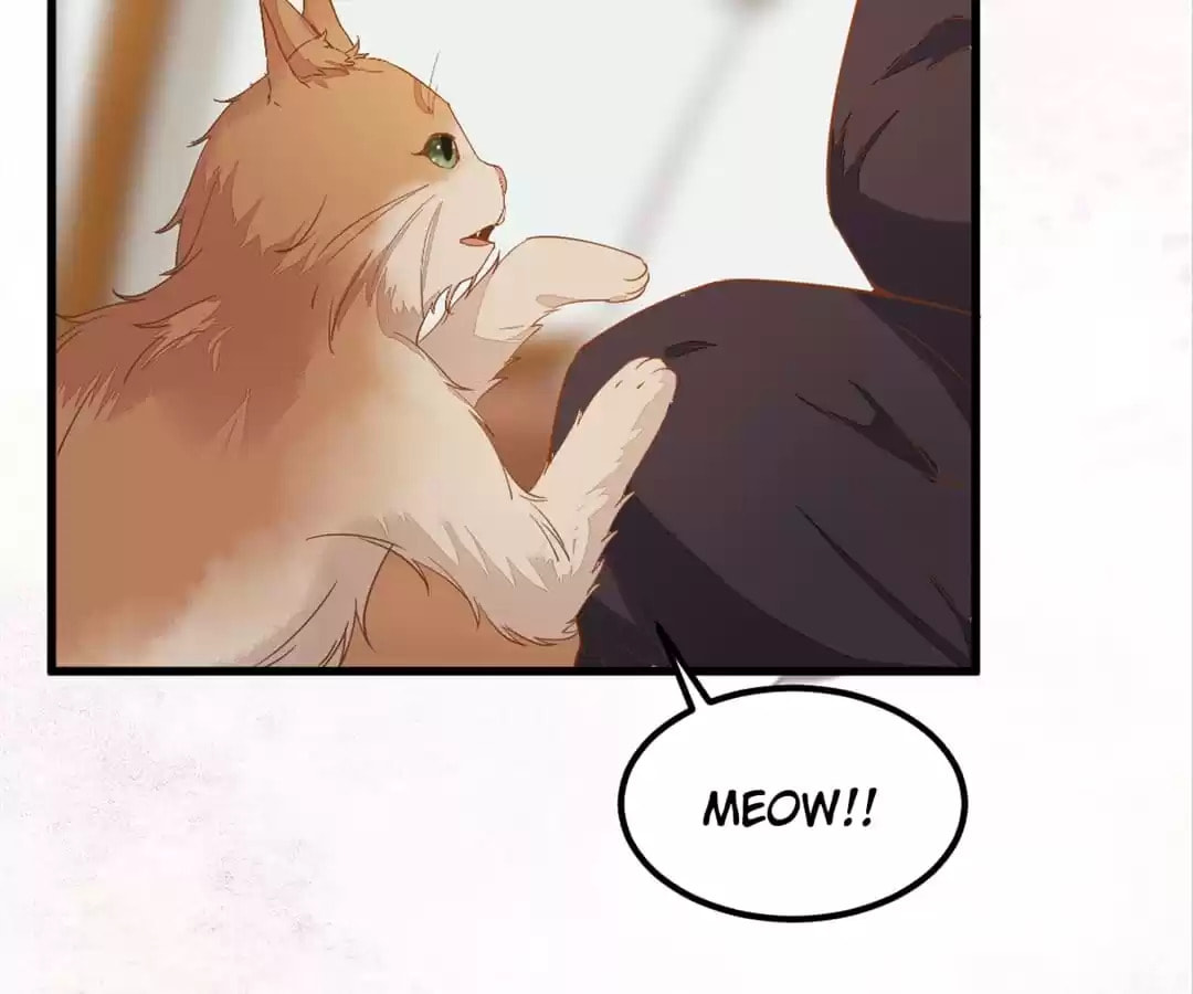 Read My Assassin Consort chapter 56 image 32 on Lezhin