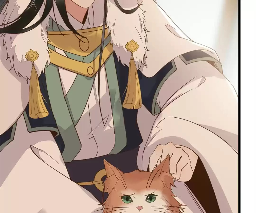 Read My Assassin Consort chapter 56 image 81 on Lezhin