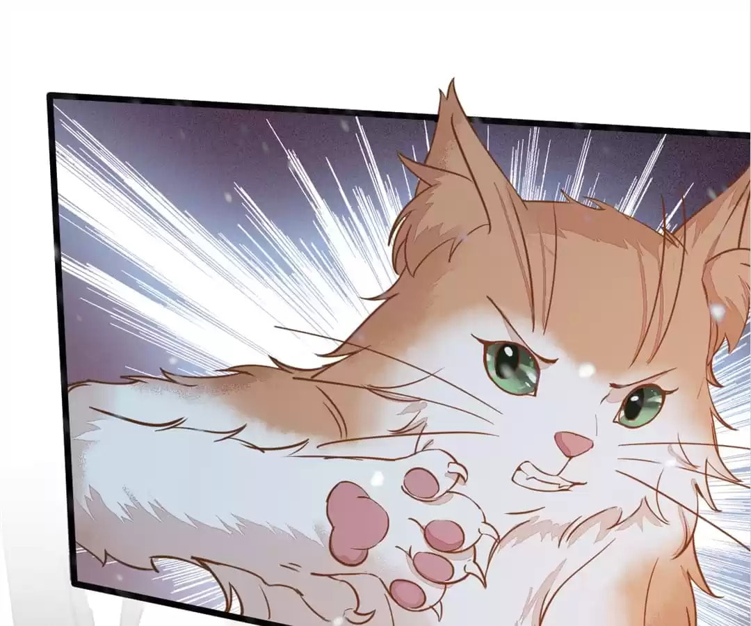 Read My Assassin Consort chapter 57 image 50 on Lezhin