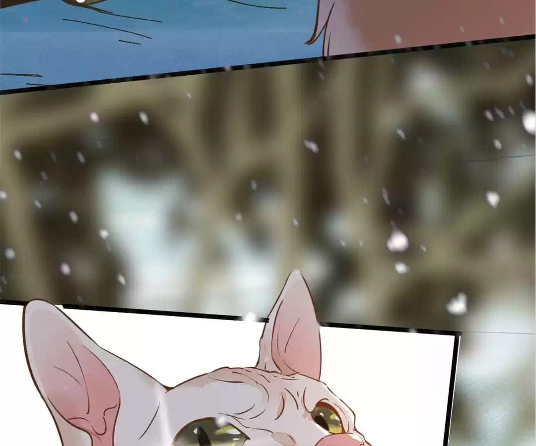 Read My Assassin Consort chapter 57 image 53 on Lezhin