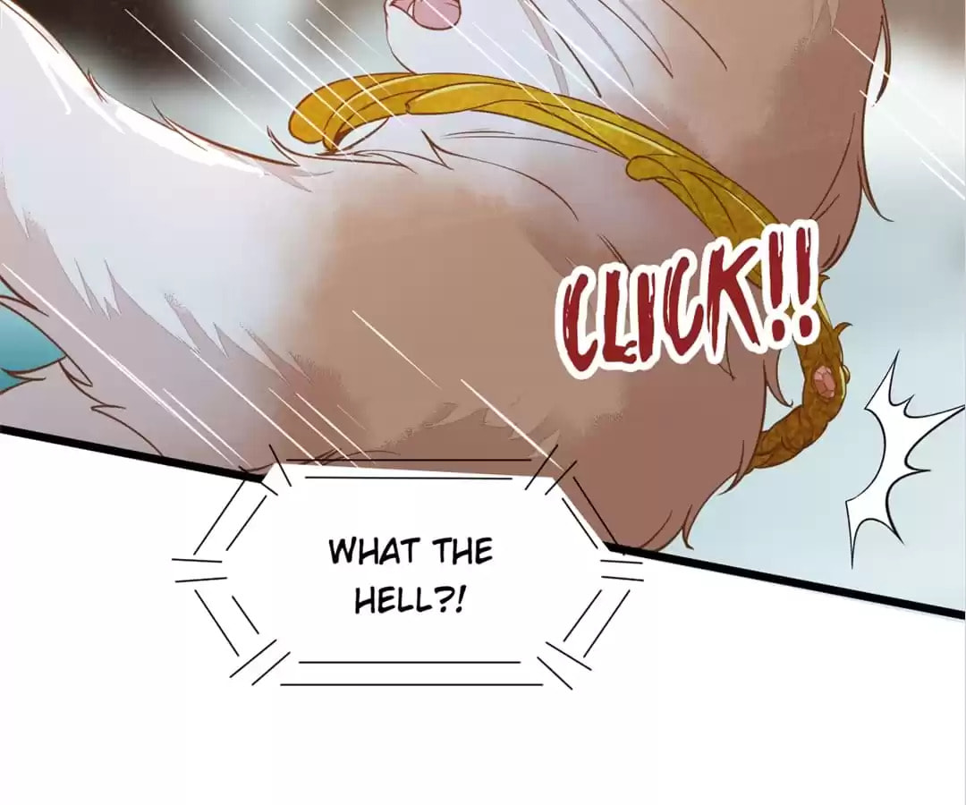 Read My Assassin Consort chapter 57 image 58 on Lezhin