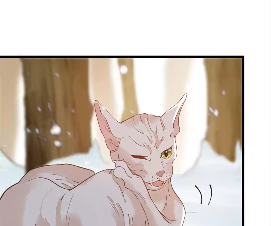 Read My Assassin Consort chapter 57 image 59 on Lezhin