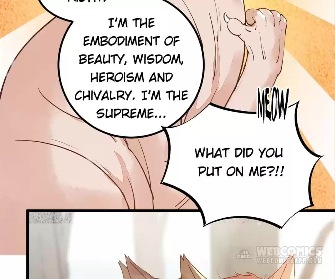 Read My Assassin Consort chapter 57 image 62 on Lezhin