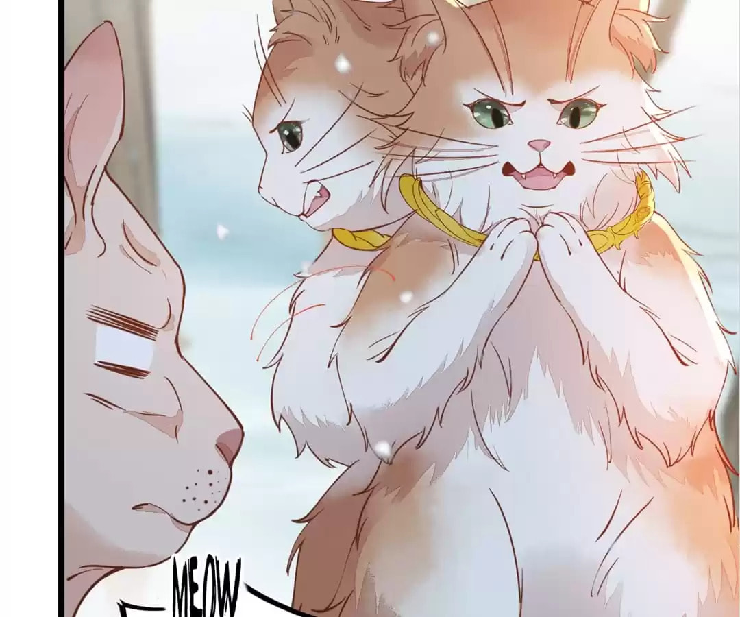 Read My Assassin Consort chapter 57 image 63 on Lezhin