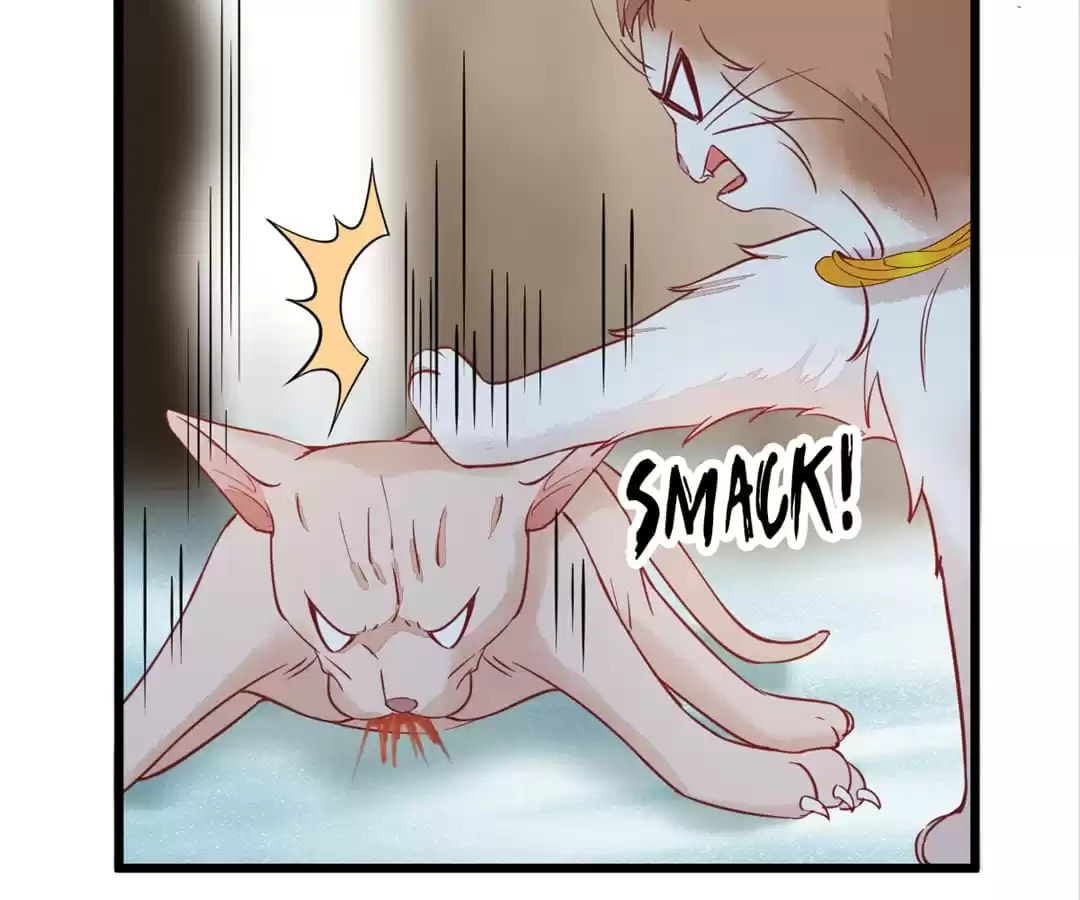 Read My Assassin Consort chapter 57 image 69 on Lezhin