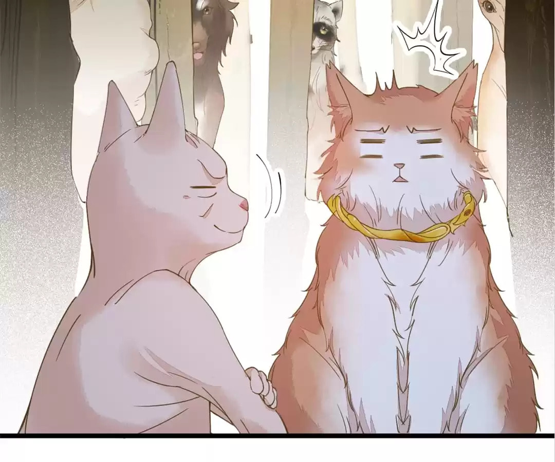 Read My Assassin Consort chapter 57 image 74 on Lezhin
